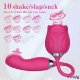 farruz-pulsed-rose-emis-titresim-ve-darbe-vibratoru-1