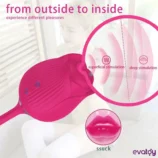 farruz-pulsed-rose-emis-titresim-ve-darbe-vibratoru-3