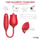 rose-dilli-yalama-ve-ileri-geri-hareketli-vibrator-4